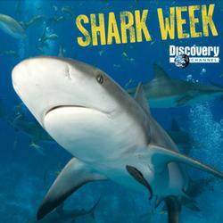 shark-week shark-week