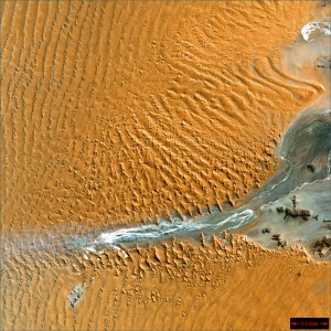 desert 11