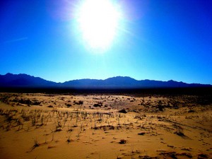 desert 15