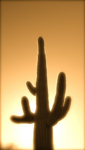 desert 3
